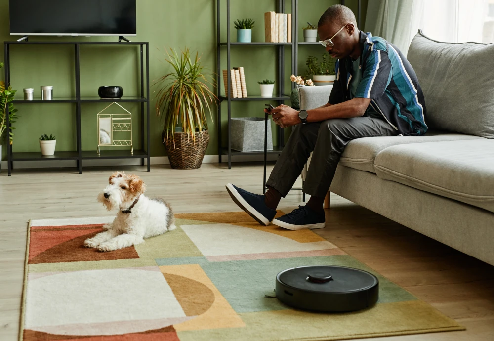 vacuum cleaning robot