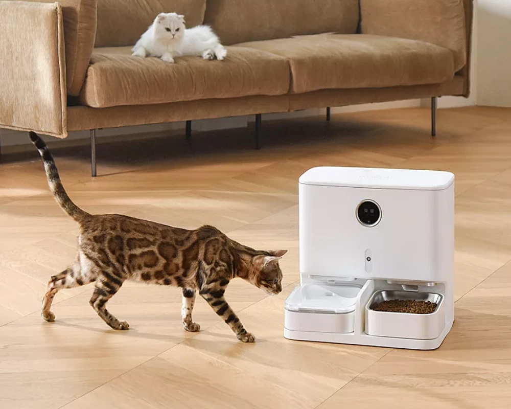 cat feeder with camera